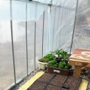 국보농장 이미지