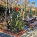 아르세 | 거제 통영 여행 오션뷰 대형 카페 "아르세" 내돈내먹 후기