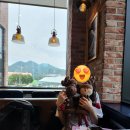롤링핀구미 티스토리