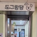 도그랑땡 이미지