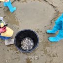 큰복골1 | 복고바다 바다 앞 풍경이 먼저 보인 숙소