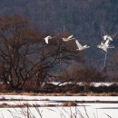 경안천습지생태공원 이미지