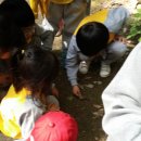 동내초등학교 병설유치원 이미지