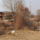 진흥목장 이미지