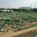 수성농장 이미지