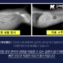 (주)고려메디칼 이미지
