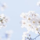 한국무용(기본) 이미지