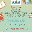 무조건 일대일수업! 원어민 일대일튜터전문 Vector International Academy (PR용시험, 스피킹/라이팅향상, 일반영어스킬향상 등) 이미지