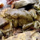 세종영재어린이집 이미지