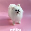 자수에듀