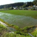 산후1리다목적회관 이미지