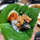 황토우렁이마을 이미지