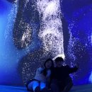 J-060 | 1월 해외여행지추천 삿포로 3박 4일 관광코스 홋카이도 수프카레 수족관 세이코마트 이용후기, 가격, 정보