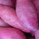 아람공인중개사사무소 이미지