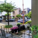 하얀집낙지전문점 이미지