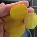 루시(LUCY) | 루시 콘서트 루시드 라인 막콘 후기 2025 LUCY 8TH CONCERT LUCID LINE 251109