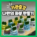 (하)힐링 포인트 라탄 공예(심화반) | 부산 경남 보육교직원 힐링수업 힙팟 화분만들기 출강