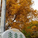 산속에관광농원 네이버블로그