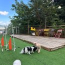 호텔 다움 이미지