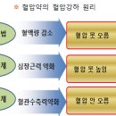 기본적으로 알아야할 지식은 이미지