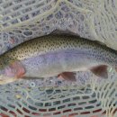 동영낚시터 이미지