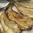 오메가메한잔 이미지