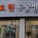 효원동물병원 네이버블로그