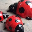 청해어린이집 이미지