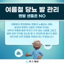 푸스케어송파