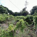 토산2리마을회관 이미지