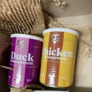 마티애견 이미지