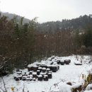 축령산휴림 이미지