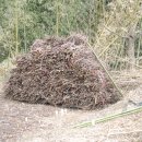 자두나무농장 이미지