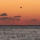 반암 농장 이미지