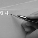 가람목재 이미지