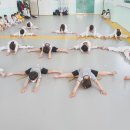 강담태권도 이미지