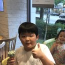유림 Daum카페