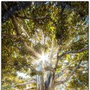 동전에너지 이미지