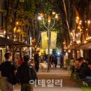 COZY GARDEN(코지가든) 이미지