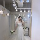 베일드블랑
