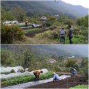 손자농장 이미지