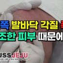 레푸스제주점