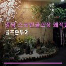 강남 스크린골프장 쾌적한 공간 골프존투어 합리적 가격과 편리한 예약 시스템