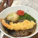 미미면가 - 강남구 도산대로1길 10 | [신사/맛집] 미미면가 내돈내산 솔직후기 (+오픈런) | 미쉐린 가이드 서울 2026 선정