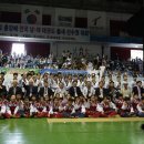 세계로새암태권도 이미지