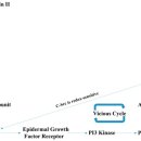 활성한의원 이미지