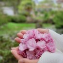 선흘1리 경로당 이미지