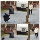 피노키오관광농원 이미지