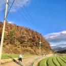 소야리 마을회관 이미지