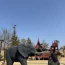 순천만국가정원 국가정원식물원 화장실 | 순천여행 순천 가볼만한 곳 순천만국가정원 입장료 실내 식물원 방문 후기